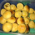 Cooksnap dari Msth untuk resep Nastar