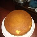 Fridah Gatwiri's cooksnap of when they made Yummy Vanilla Cake #bakingcontest.