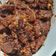 Cooksnap dari bollewangen untuk resep Babat Gongso