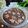 Deepa Rupani's cooksnap of when they made Sweet Potato Chocolate Fudge.