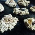 El cooksnap de Flor Di Lernia cuando hizo Galletas de avena, banana y nuez súper fit !.