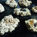 El cooksnap de Flor Di Lernia cuando hizo Galletas de avena, banana y nuez súper fit !.