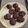 El cooksnap de José Francisco Amenedo Cesar cuando hizo Galletas muerte por chocolate fit.