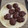 El cooksnap de José Francisco Amenedo Cesar cuando hizo Galletas muerte por chocolate fit.
