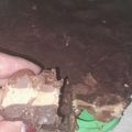 El cooksnap de Vanina Madalón cuando hizo Torta 1234.