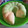 Cooksnap dari Atin_hasna untuk resep Bolu susu 1 telur tanpa mixer