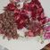 Cooksnap dari Angelina Sutanto untuk resep Tumis kulit buah naga merah