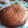 El cooksnap de Delicias Gaby cuando hizo Bizcochuelo marmolado de café y chocolate.