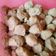 Cooksnap dari yuika poo untuk resep Bakso Sapi Ayam Non MSG