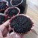 Cooksnap dari Winarsih Tri Utami untuk resep Super Moist Steamed Chocolate Cake Juara NO mixer NO oven