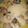 Nosheen Nadeem's cooksnap of when they made Curry chawal.