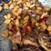 Cooksnap dari Mita untuk resep Spicy Chicken Bulgogi