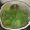 Cooksnap dari Tyas untuk resep Sayur bening bayam