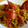 El cooksnap de Esther Ariza Sánchez cuando hizo Arroz con bogavante y pollo.