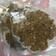 Cooksnap dari Ayindha untuk resep Daging Burger / Beef Patty