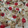 monafea23's cooksnap of when they made Banana Split Cake.