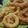 Cooksnap dari Shilvia criandhani untuk resep Onion ring