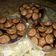 Cooksnap dari Asri Nurwifa untuk resep Brownies kering #camilankuekering