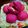 Cooksnap dari MamaSam untuk resep Red Dragon Fruit Bun - Banh Mi Thanh Long Nui