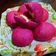 Cooksnap dari MamaSam untuk resep Red Dragon Fruit Bun - Banh Mi Thanh Long Nui