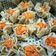 Cooksnap dari Sendy Angela untuk resep Dimsum Siomay Ayam Udang