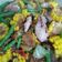 Cooksnap dari Tjandra Asri Wulandari untuk resep Seafood Saus Padang (Udang, Cumi, Kerang)