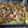 El cooksnap de Frany GoBe cuando hizo Pulpo con patatas al horno.