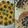 صورة من براءة هلال ، شاركها بعد تجربة وصفة 🐝خلية النحل 🐝