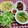 Cooksnap của QUÂN NGUYỄN khi họ làm theo món Cơm nhà 6