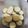 El cooksnap de Mariana cuando hizo Alfajores de maizena.