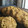 El cooksnap de Azul Varela cuando hizo Galletas de manzana y nueces sin azúcares agregados ni edulcorantes 🍎.