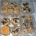 Cooksnap dari Alda Puspita Dewi untuk resep Dimsum Ayam Kukus