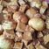 Cooksnap dari maisarah baihaqi untuk resep Semur Telur Tahu Kecap