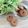 Cooksnap dari mia maulina untuk resep Milo cookies teflon