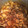 El cooksnap de virgilio cuando hizo Receta de cuajito.