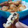 El cooksnap de Antonela Lopez cuando hizo Buñuelos con y sin pasas de uvas.