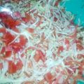 Kiran Shahzadi's cooksnap of when they made Kachomar Salad.
