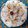 Neha Prajapti's cooksnap of when they made શ્રીખંડ (Shrikhand Recipe In Gujarati).