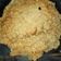 Cooksnap dari Nova Nada untuk resep Oat Omelet (telur dadar isi oat)