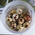 Cooksnap dari elan untuk resep Tips Menyimpan Telor Puyuh Rebus