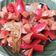 Cooksnap dari Rosa_liem untuk resep Sosis brokoli saus teriyaki