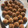 El cooksnap de arodsot cuando hizo Panallets —estilo celta—.