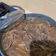 Cooksnap dari Erika Tiara untuk resep Beef Yoshinoya/ Beef Yakiniku