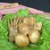 Cooksnap dari Noni Sukmawati untuk resep Ayam Telur Bumbu Areh Pendamping Gudeg