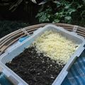 Cooksnap dari Rifki Garnita untuk resep Cheese Cake Lumer Oreo