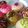 Cooksnap dari Dian untuk resep Donat super lembut