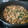 El cooksnap de Sofia Amirdach cuando hizo Espinacas con champiñones.