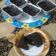 Cooksnap dari Vemi Tefa untuk resep Choco lava merapi