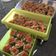 Cooksnap dari Raina Clarisa untuk resep Siomay Ayam
