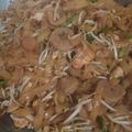Cooksnap dari Dianmita Sarasanti untuk resep Kwetiau goreng Solaria